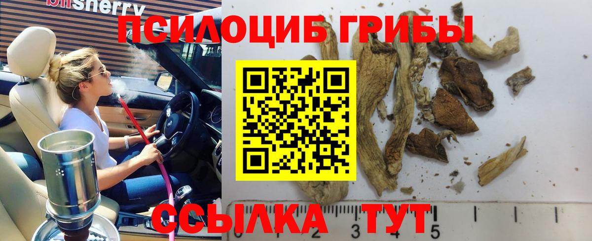 Галлюциногенные грибы мицелий Тара
