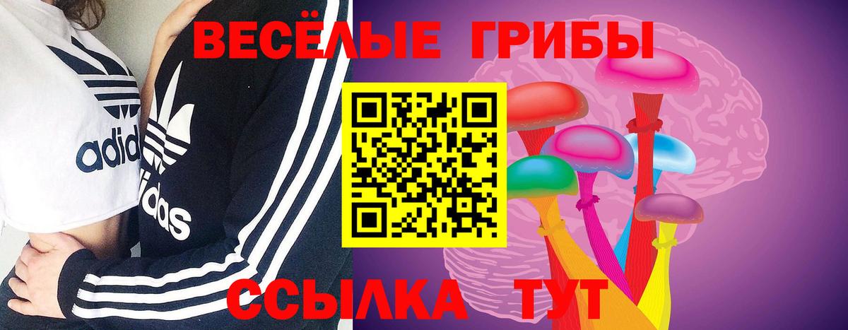 Галлюциногенные грибы Psilocybe  Вход с VPN  Галлюциногенные грибы мухоморы  купить наркотик  Тара 